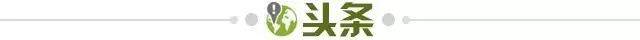 Kaiyun Sports-【早报】力拼澳大利亚！女足今日冲击亚洲杯决赛！